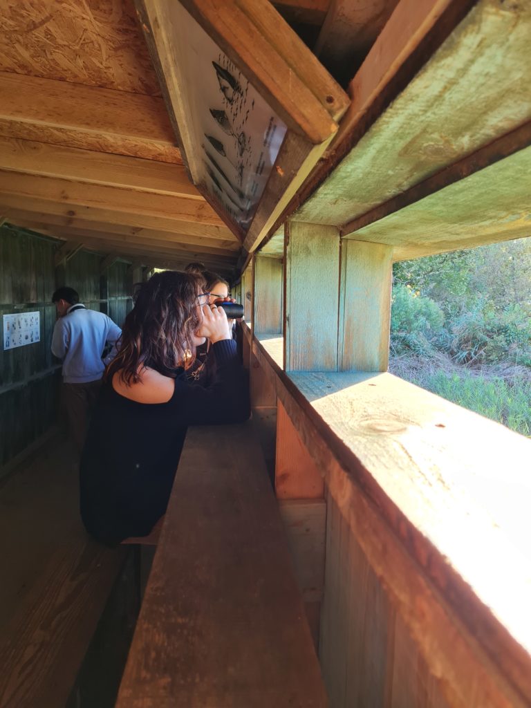 Teich Bird Sanctuary