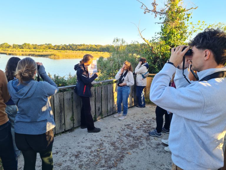 Teich Bird Sanctuary