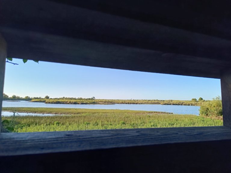 Teich Bird Sanctuary