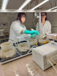 Preparing sediments