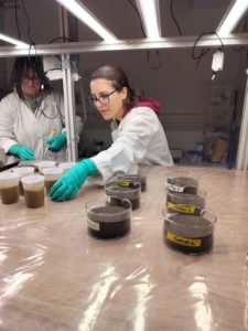 Sediments